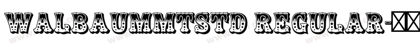 WalbaumMTStd Regular字体转换